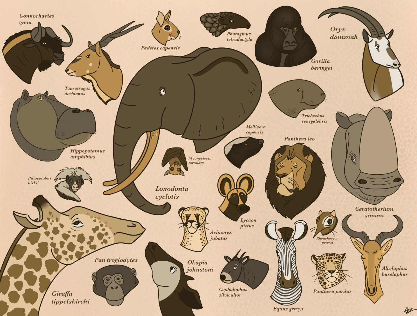 An Assortment of African Mammals
