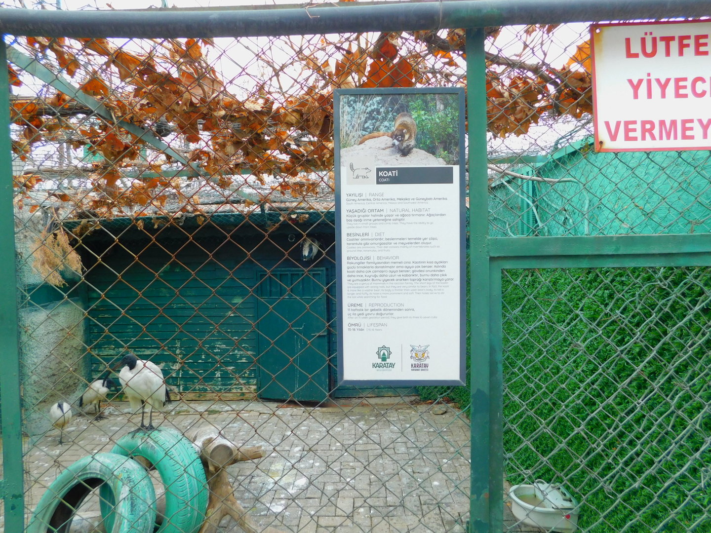 An Enclosure at the Karatay Zoo
