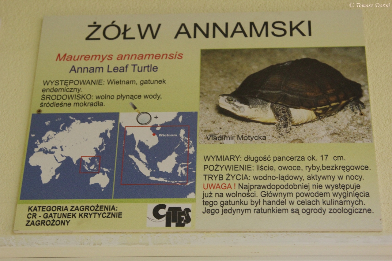 An example of a new information plate