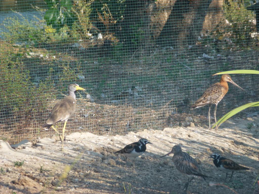 An interesting gathering, July 2013.