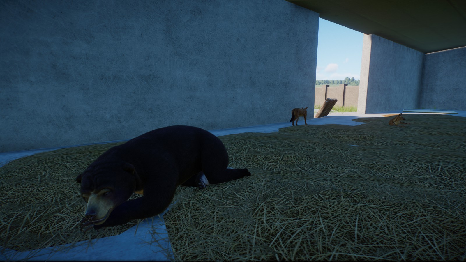 An interesting mixed species habitat