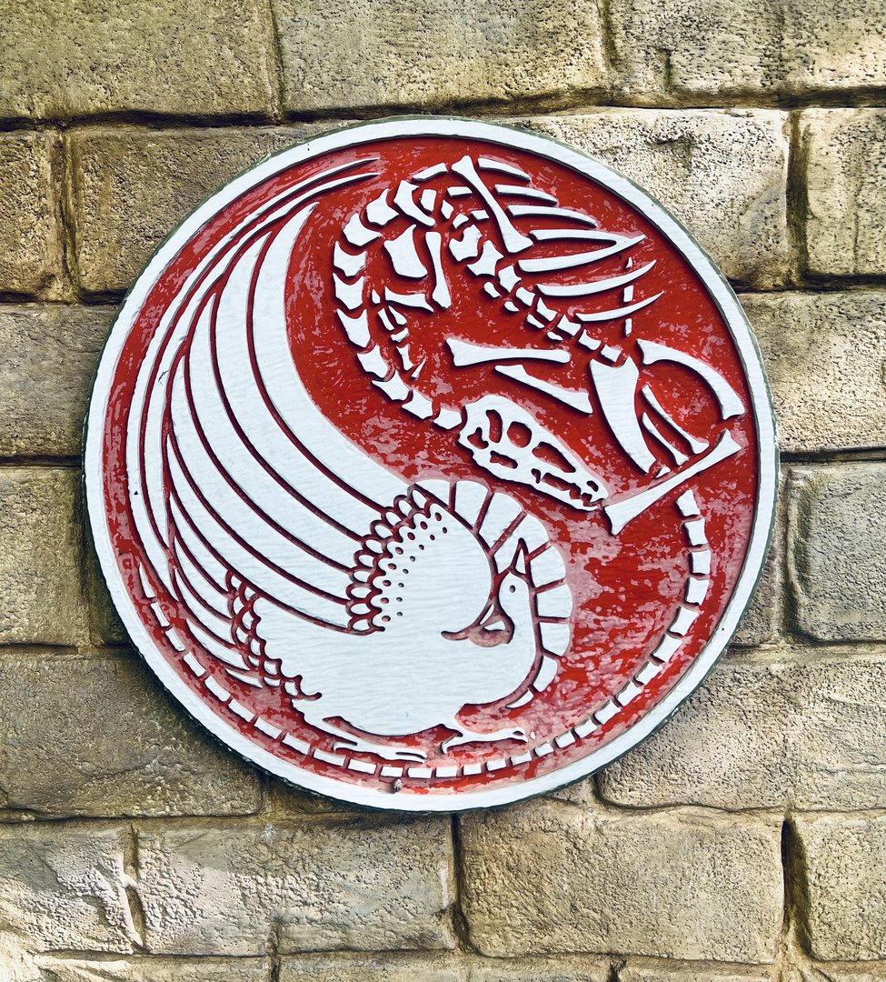 An interesting take on the Yin and Yang concept