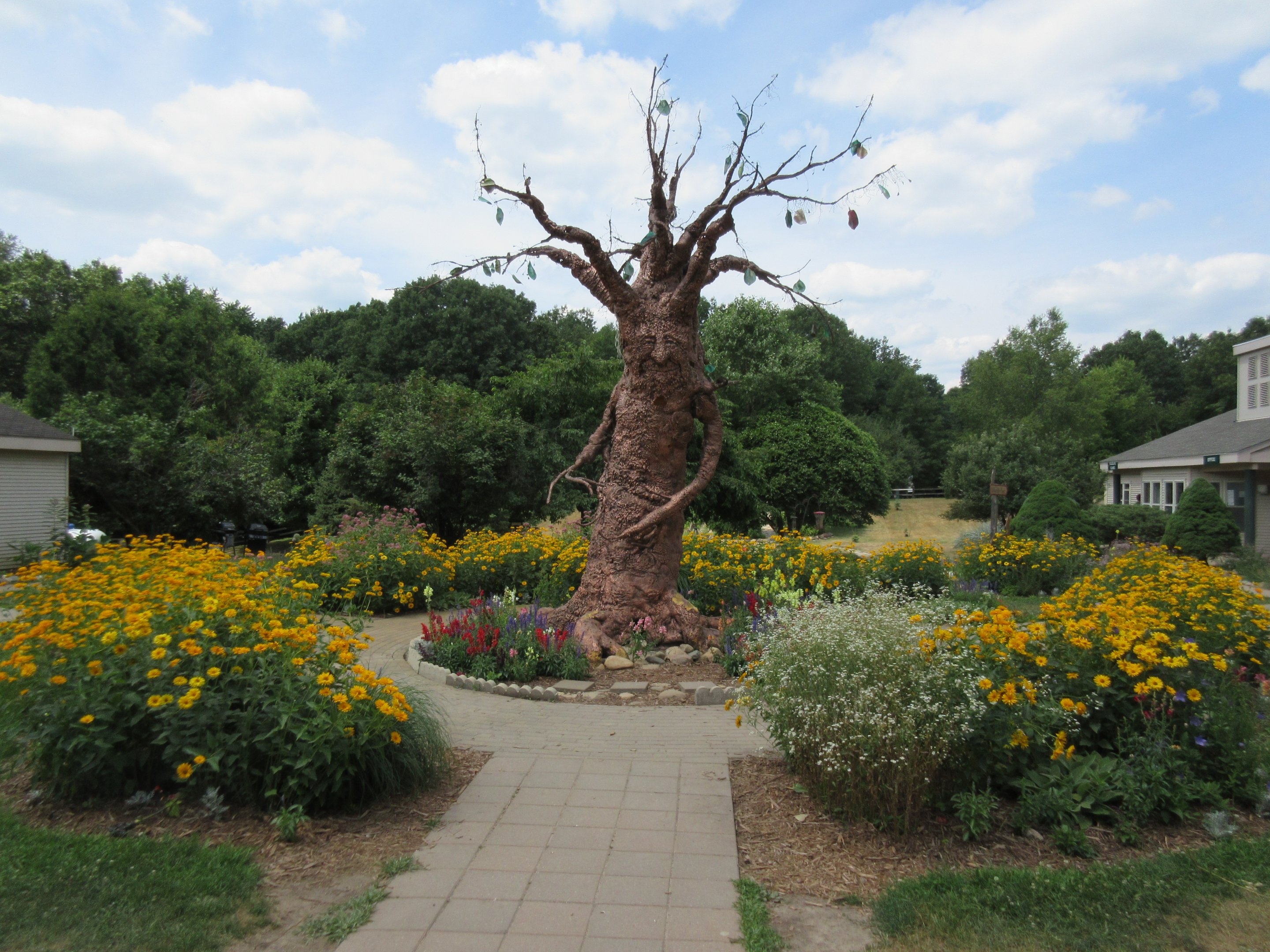 An interesting tree!