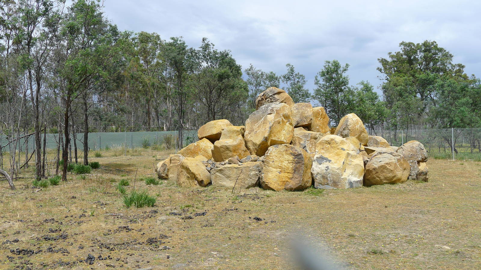 An un labeled enclosure with no visable animals