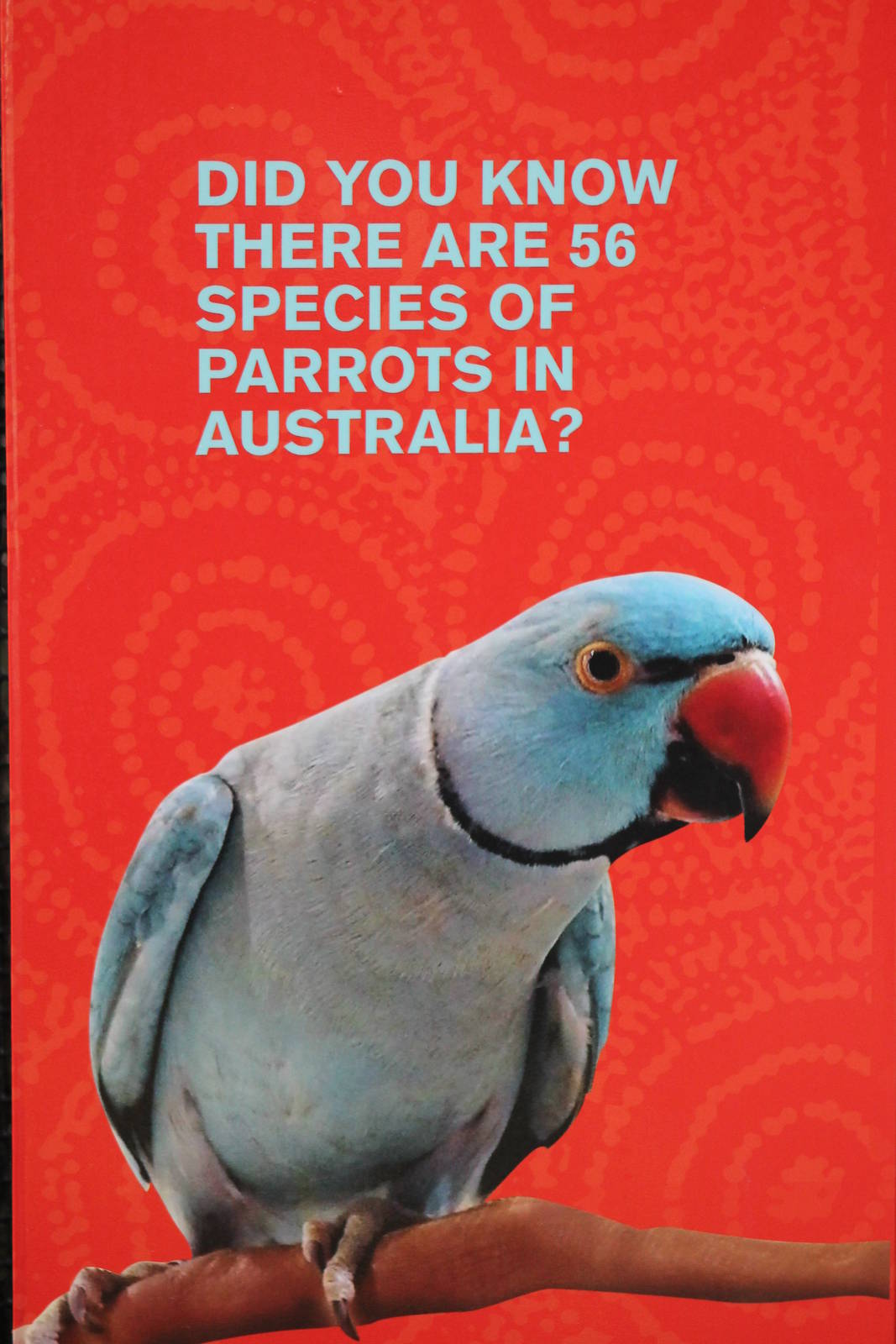 an unfortunate choice of photo on signage....