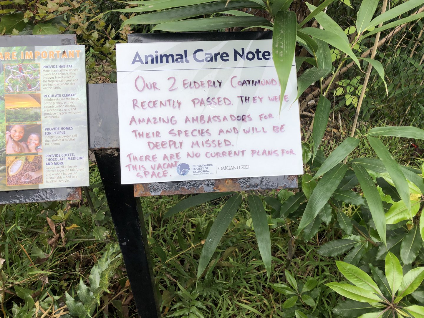 An unfortunate piece of news