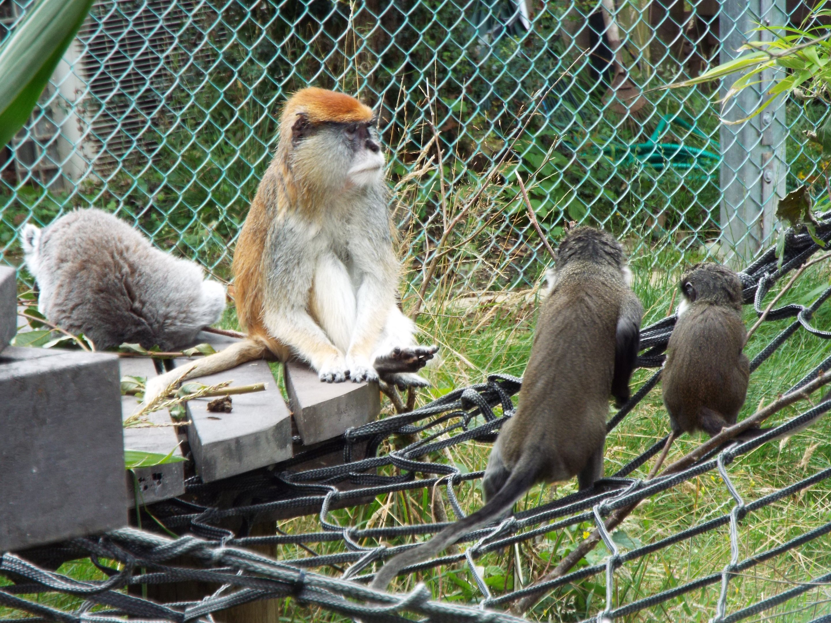 An unlikely grouping