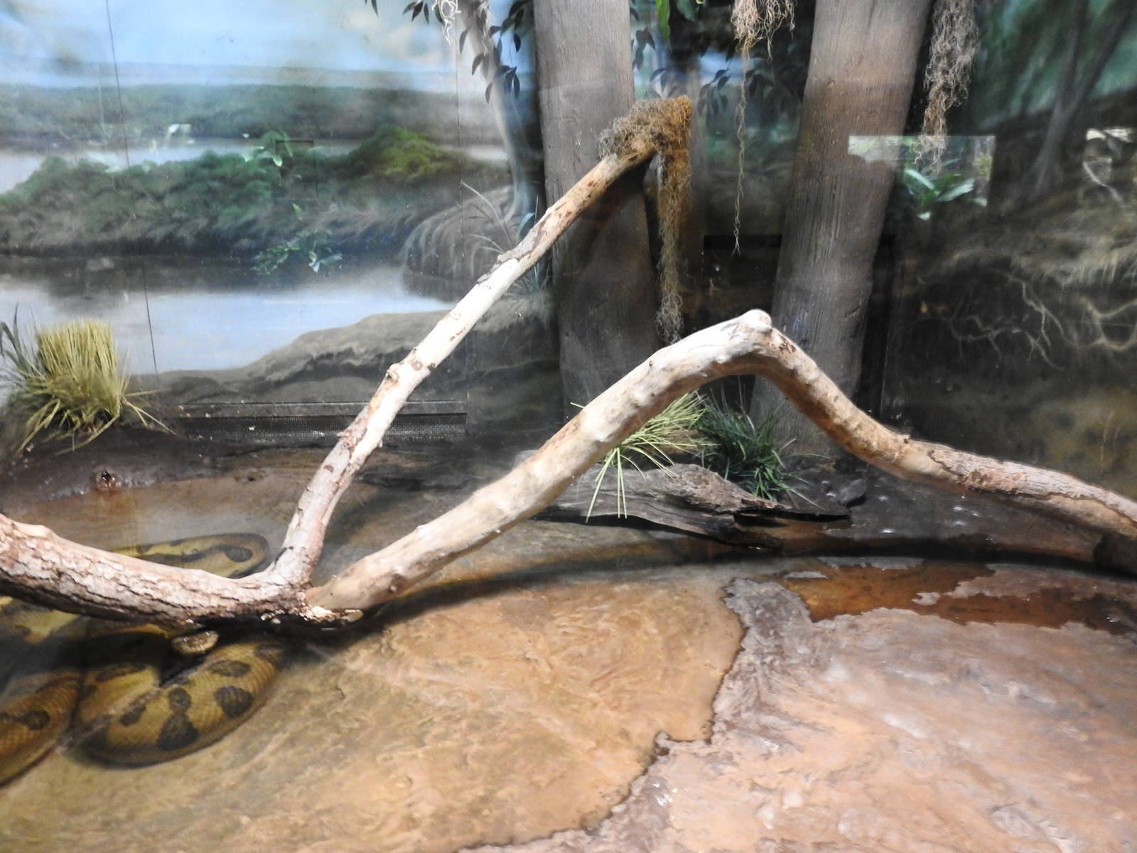 Anaconda Enclosure
