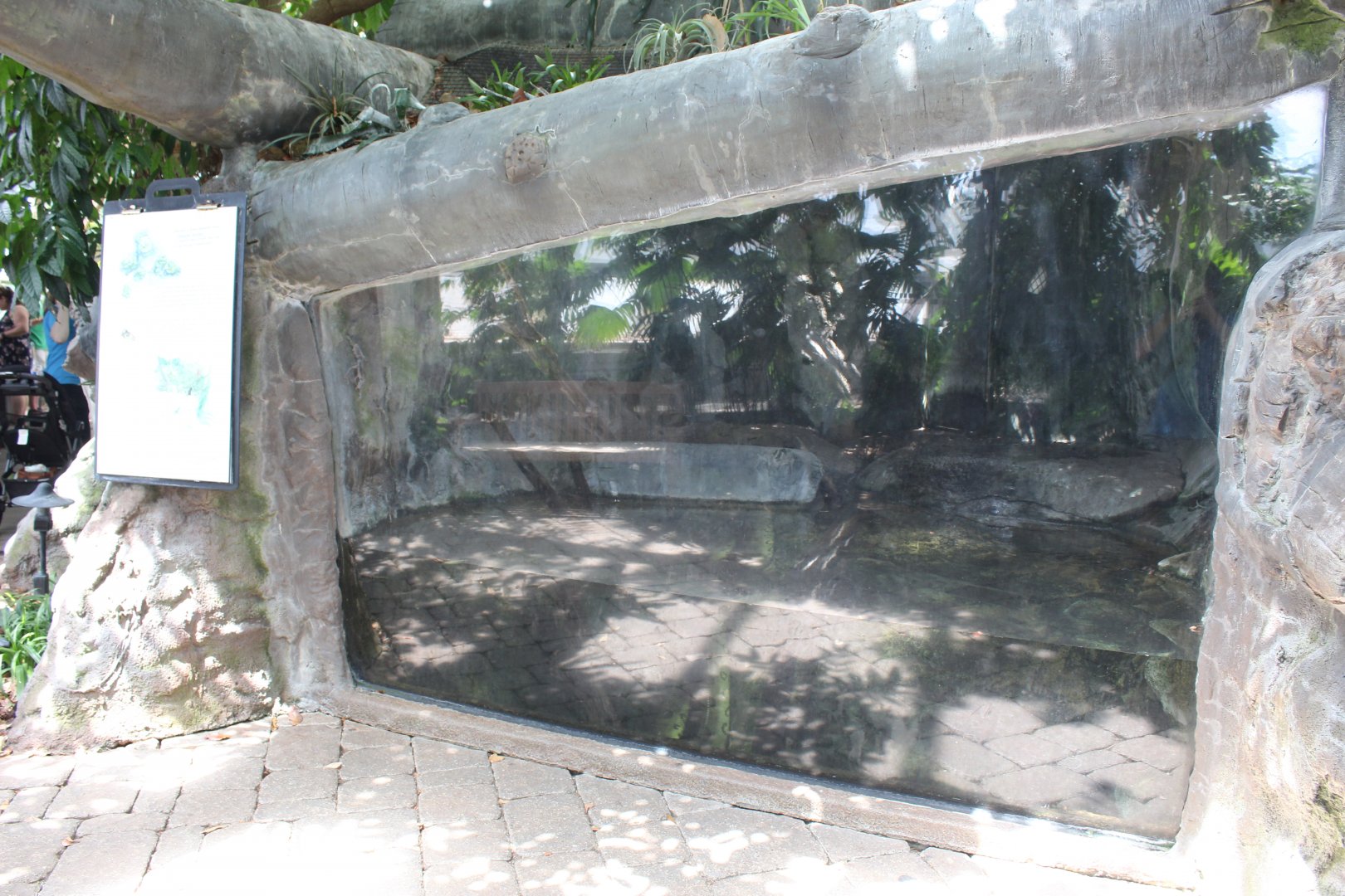 Anaconda Exhibit - Tropical Discovery