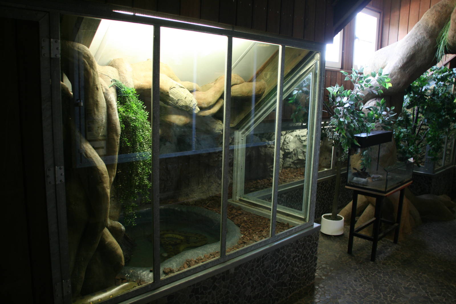 Anaconda exhibit