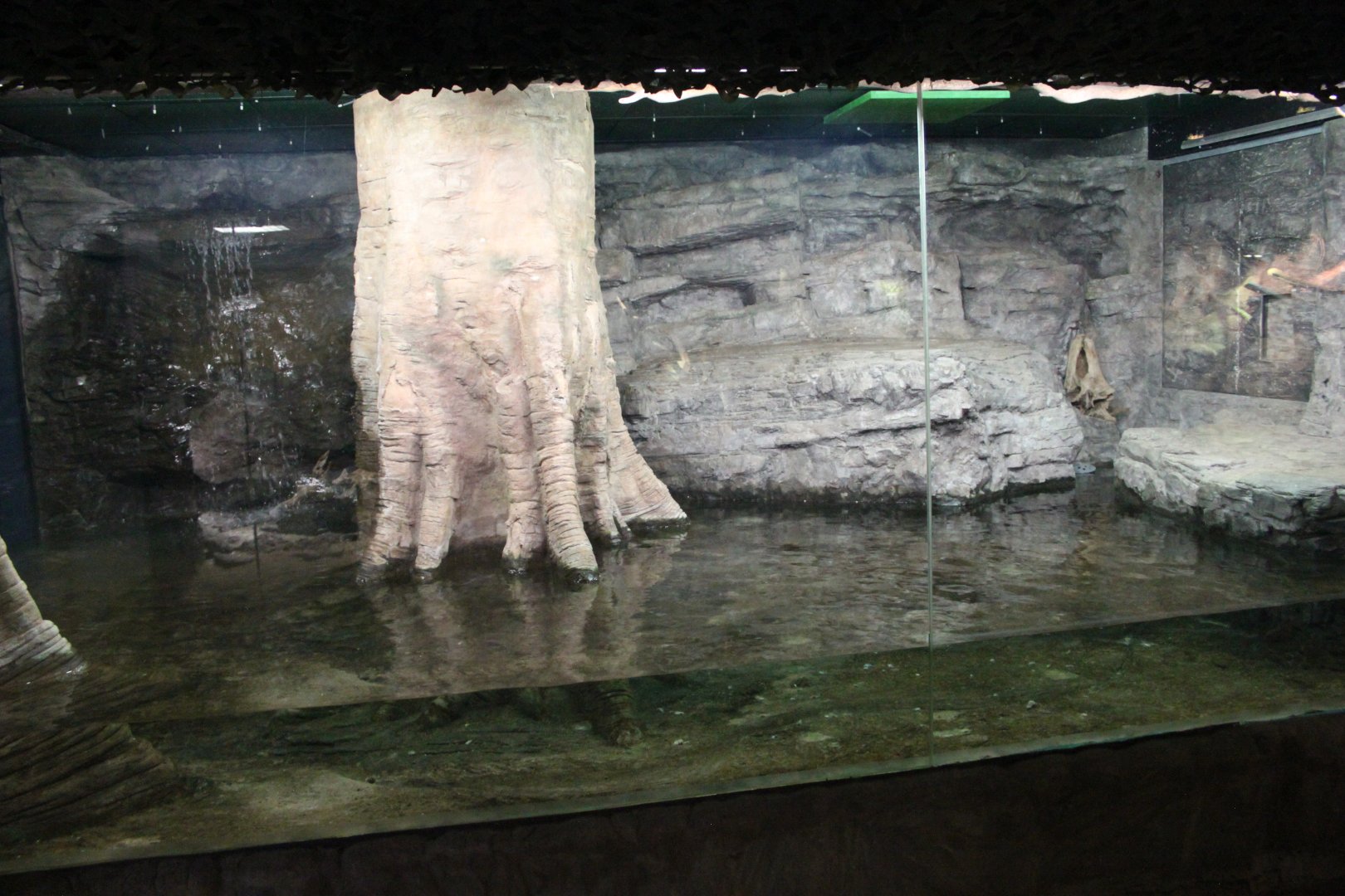 Anaconda exhibit
