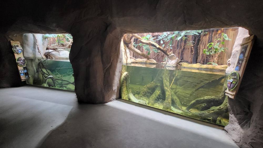 Anaconda exhibit