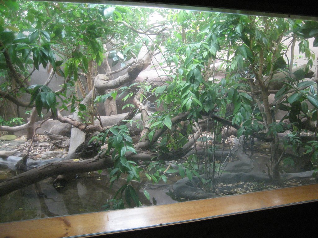Anaconda exhibit