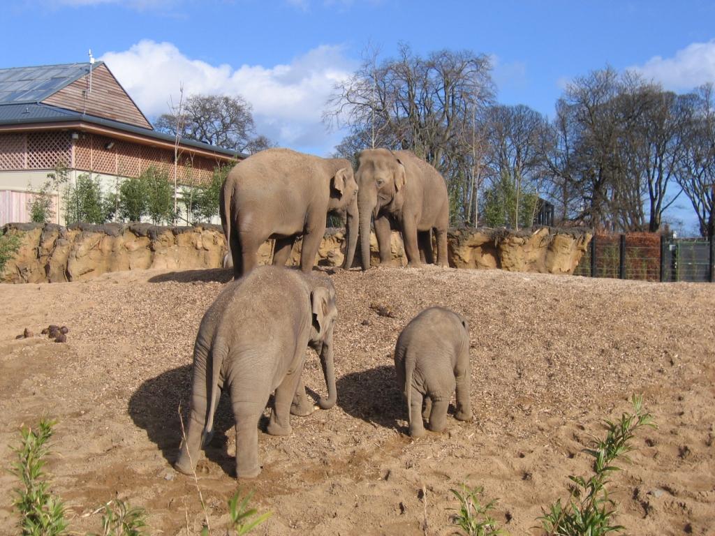 Anak guiding Asha up the hill