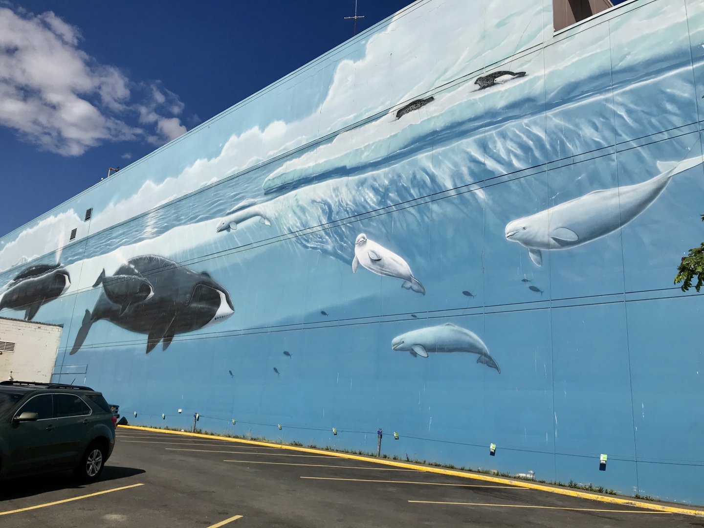 Anchorage’s Whale Mural.