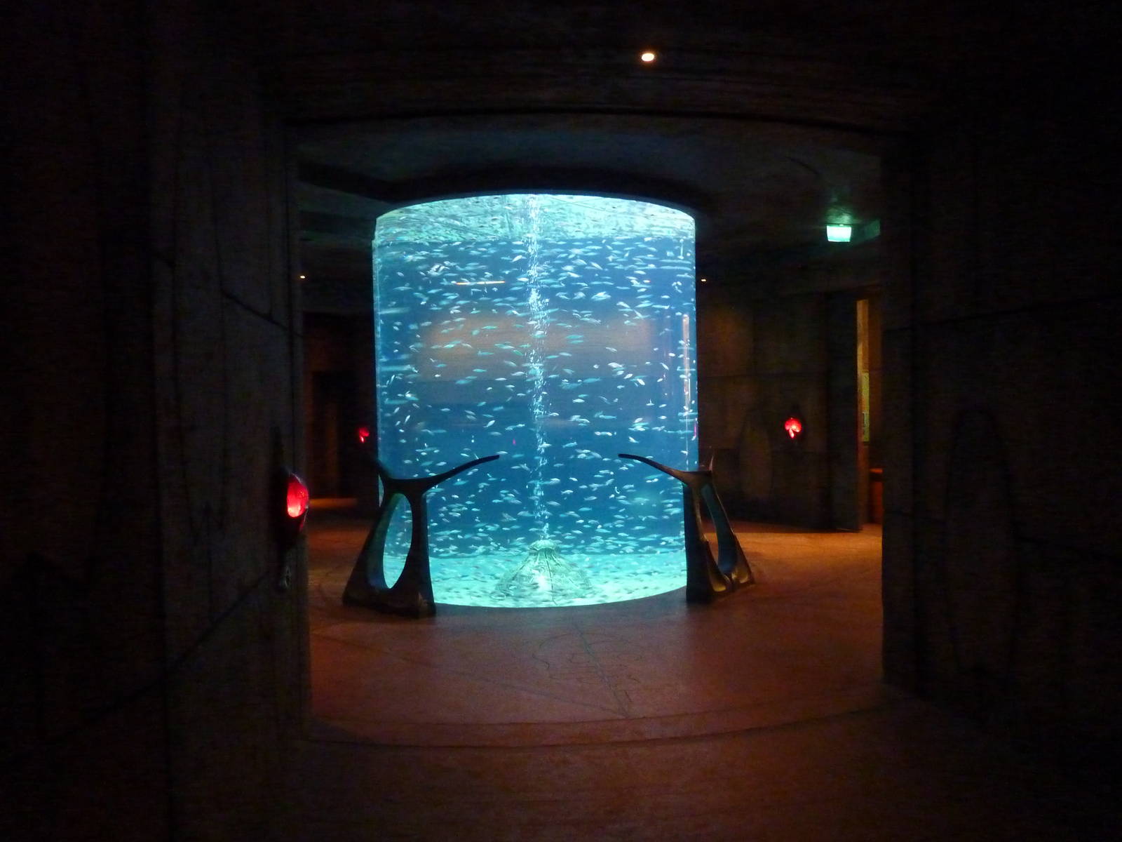 Anchovy tank in entrance