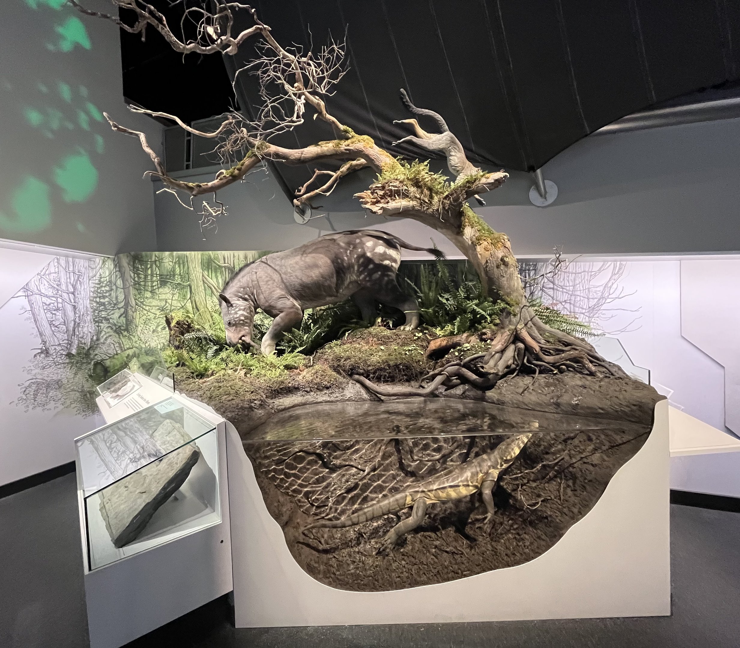 Ancient Alberta Habitats