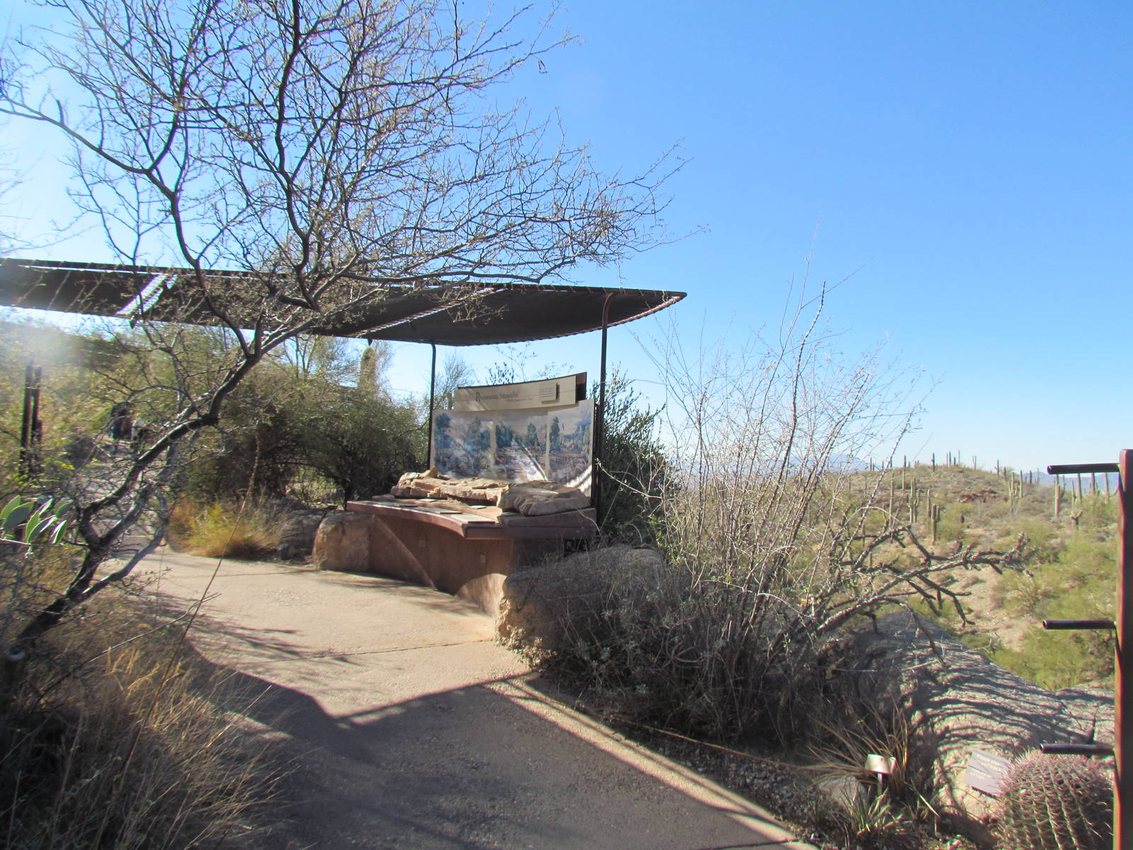 Ancient Arizona Exhibit