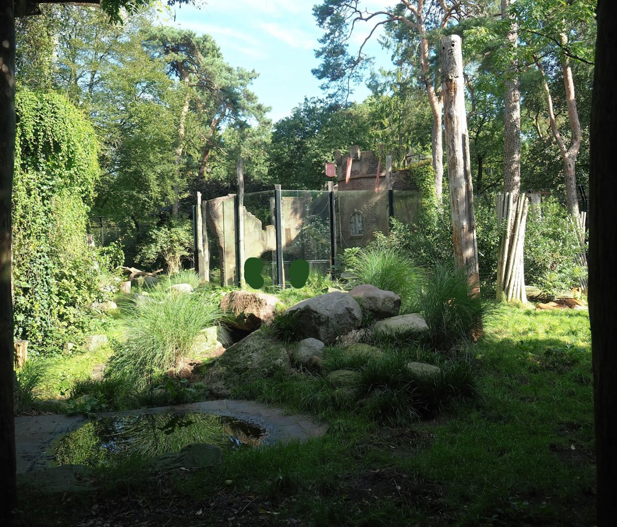 Ancient City - African lion exhibit, 2023-09-24