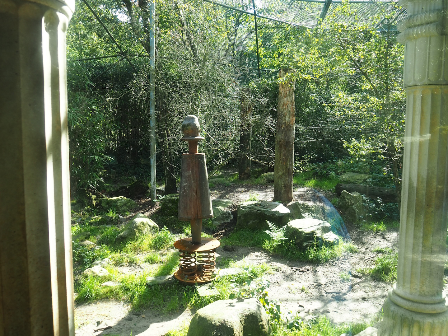 Ancient City - Amur tiger exhibit, 2023-09-24