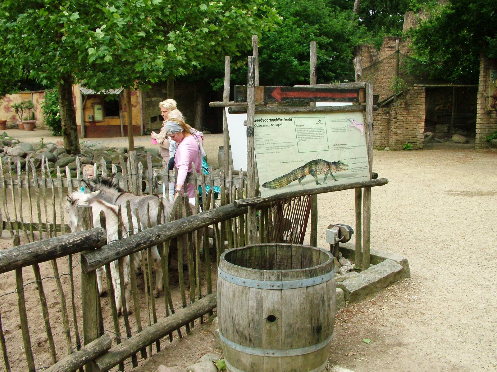 Ancient City at Amersfoort, 01/06/12