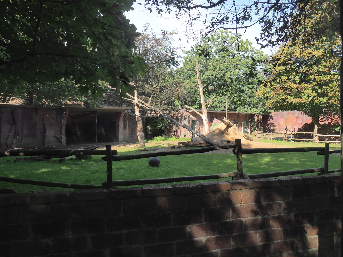 Ancient City - Bactrian camel paddock, 2023-09-24