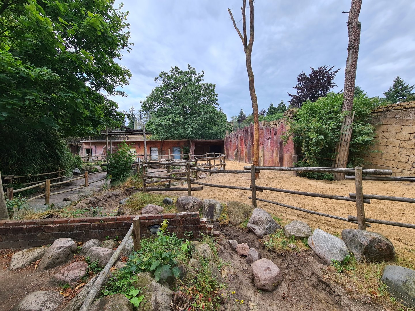 Ancient city - Bactrian camel