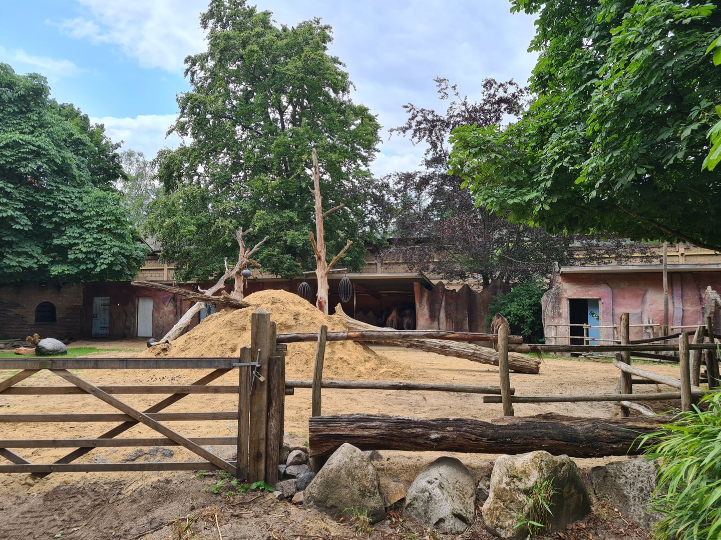 Ancient city - Bactrian camel
