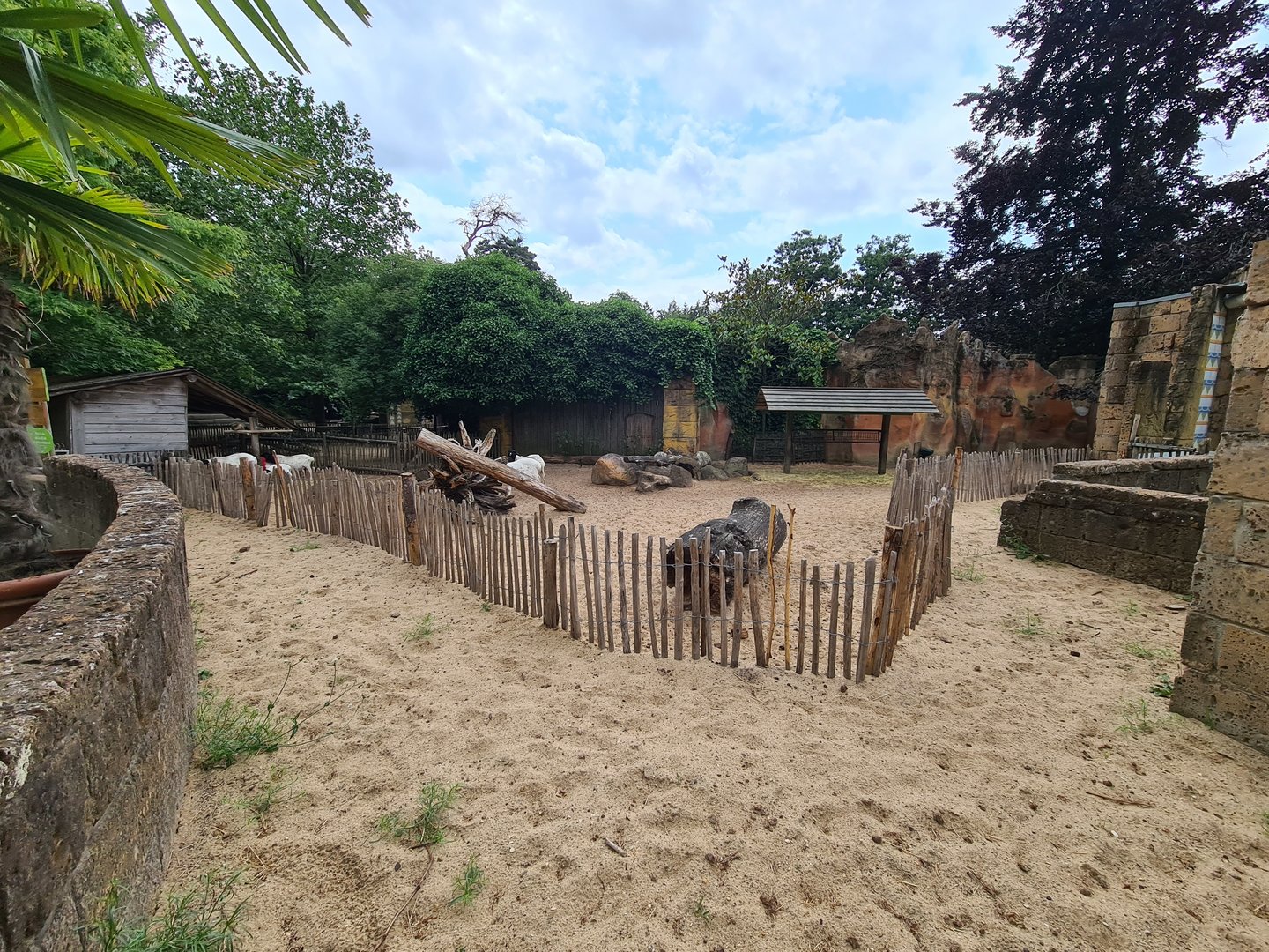 Ancient city - Black-headed sheep enclosure