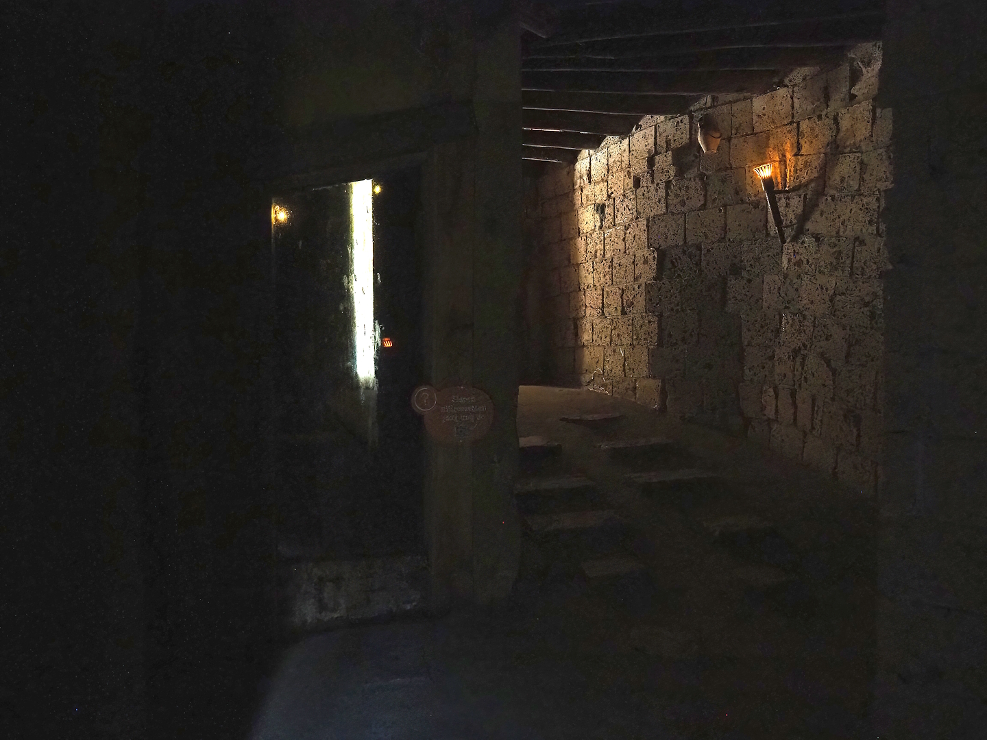 Ancient City - Egyptian fruit bat viewing area, 2023-09-24