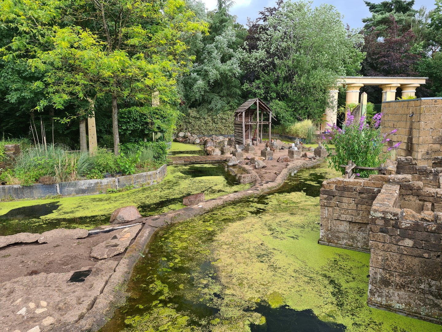 Ancient city - Hamadryas baboon enclosure