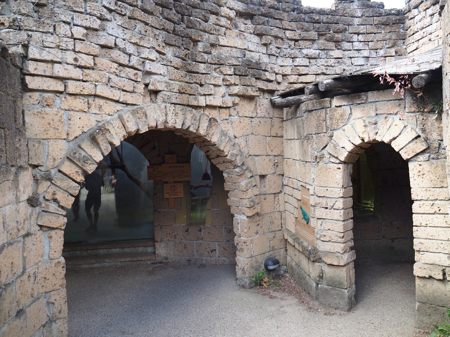 Ancient City herps house