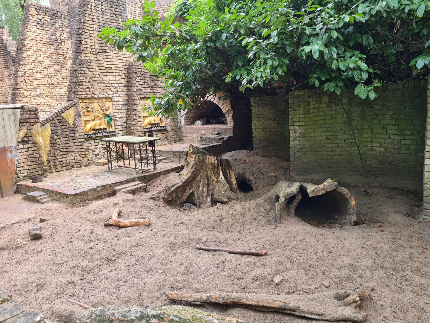 Ancient city - Indian Crested porcupine enclosure
