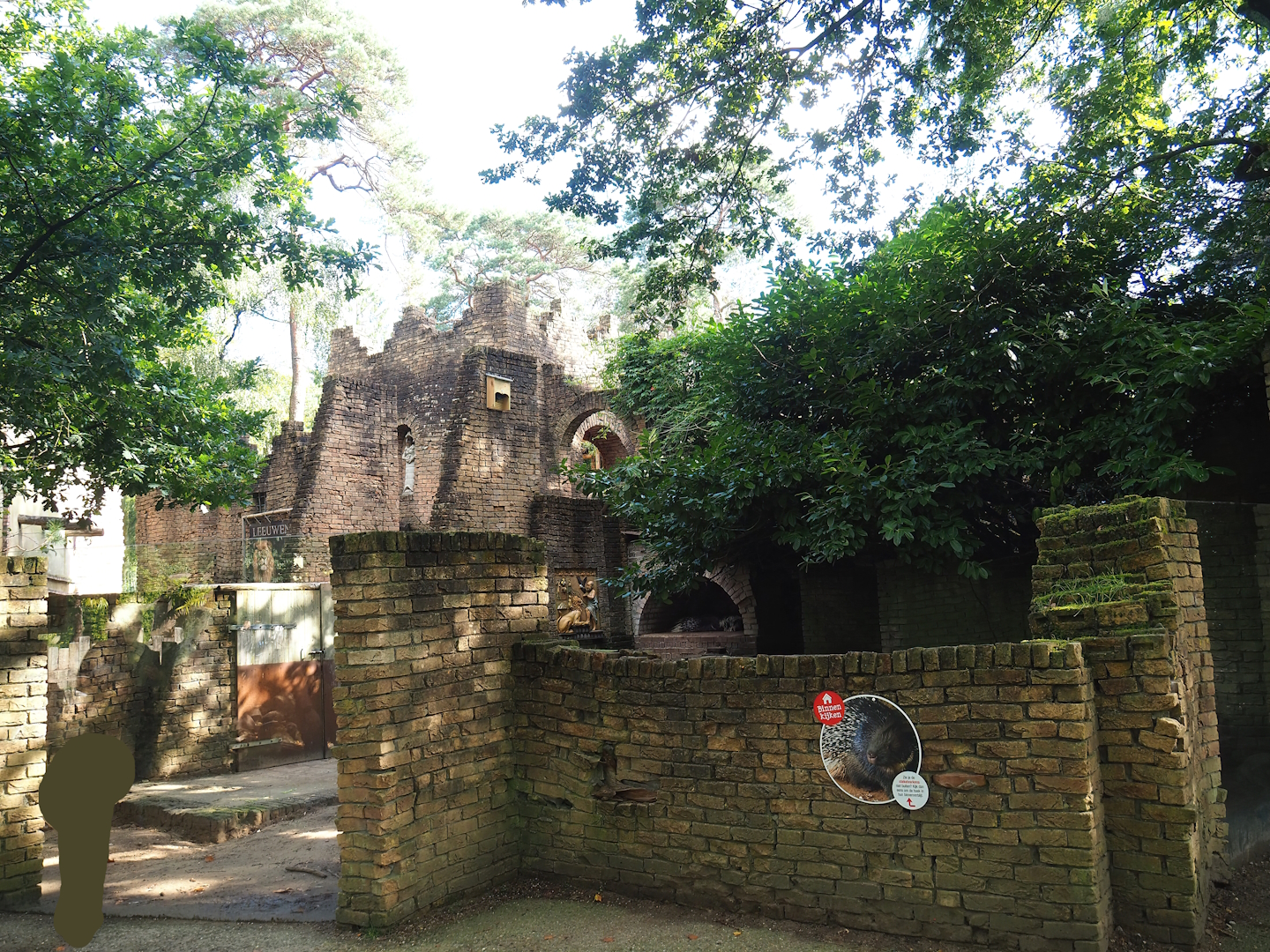 Ancient City - Indian crested porcupine exhibit, 2023-09-24