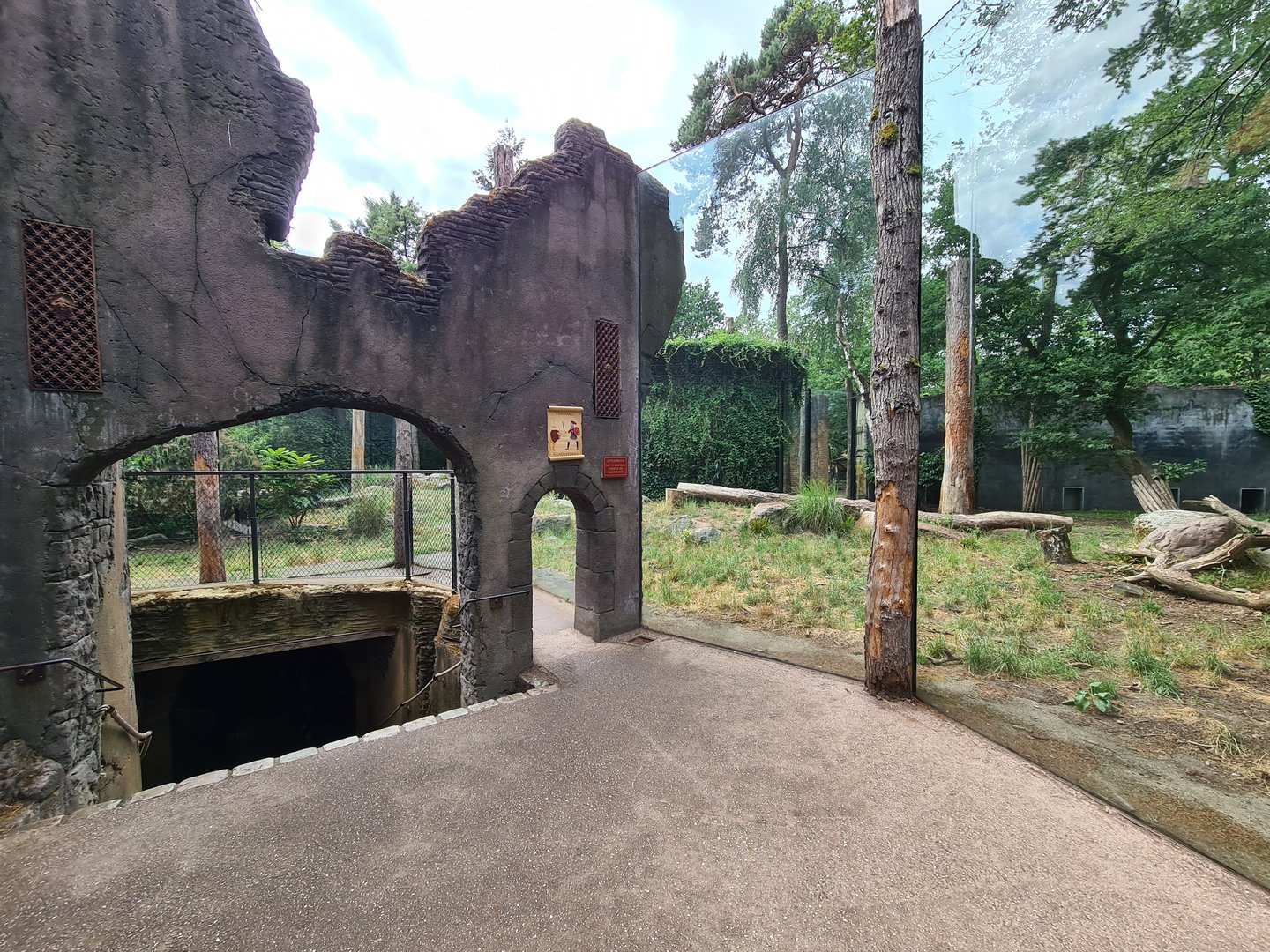 Ancient city - Lion viewing