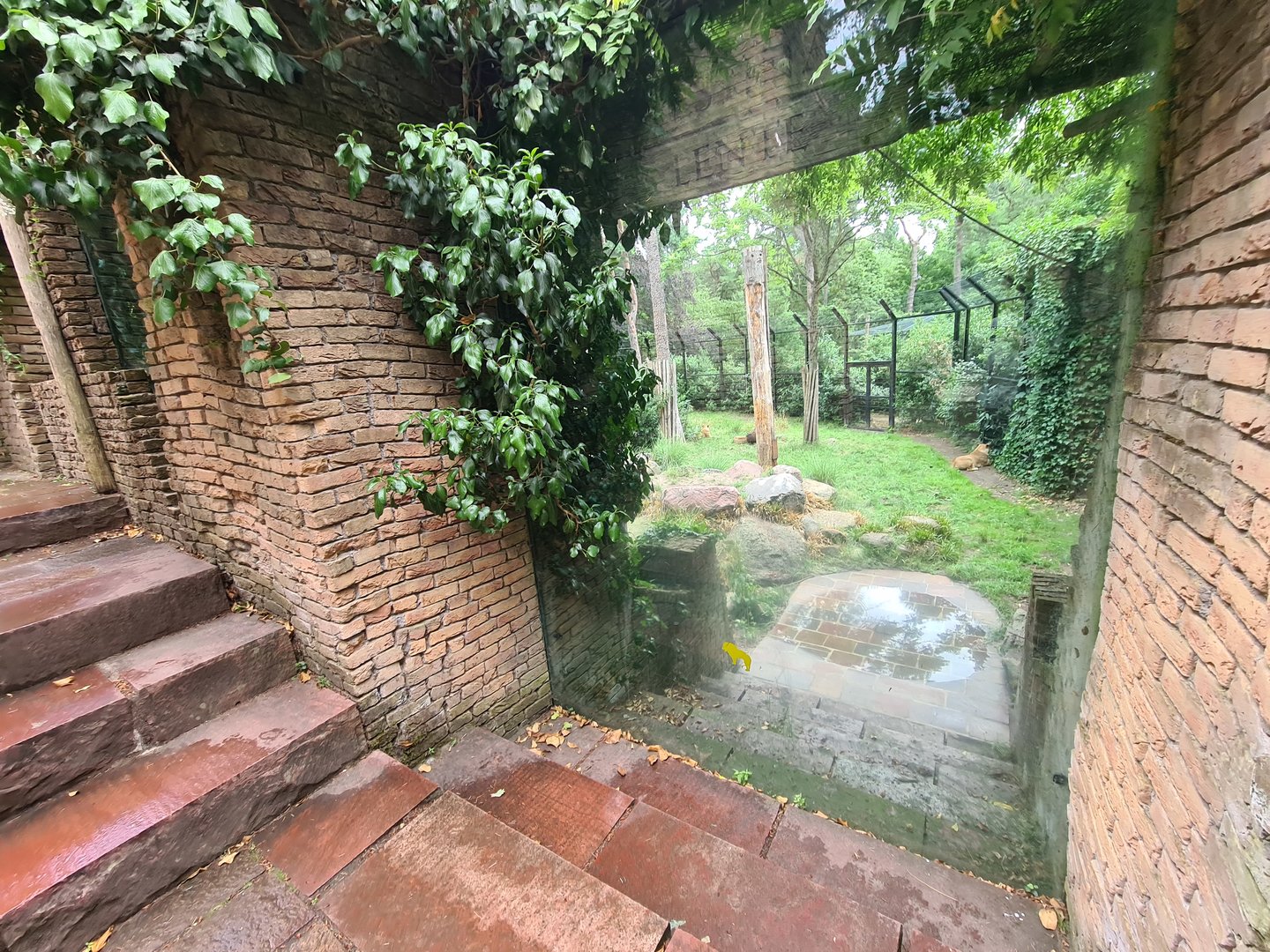 Ancient city - Lion viewing