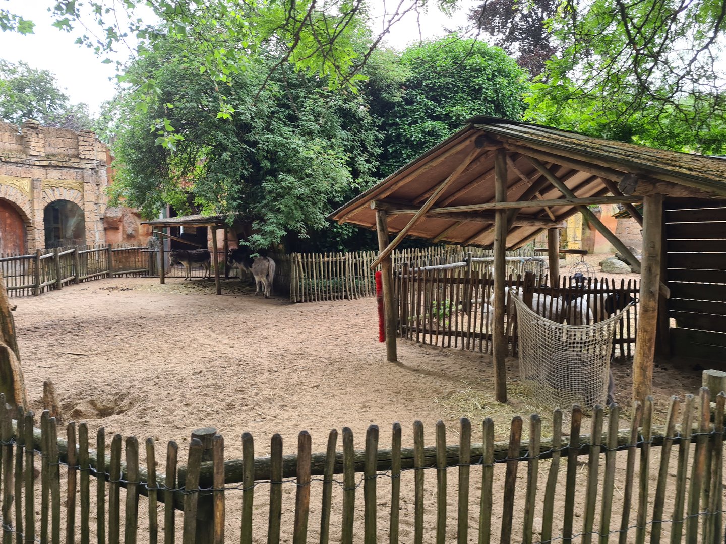 Ancient city - Miniature donkey enclosure
