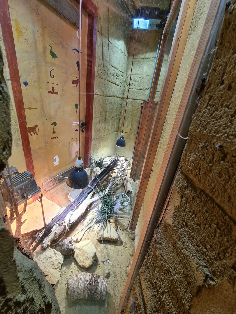 Ancient city - N. African mastigure enclosure