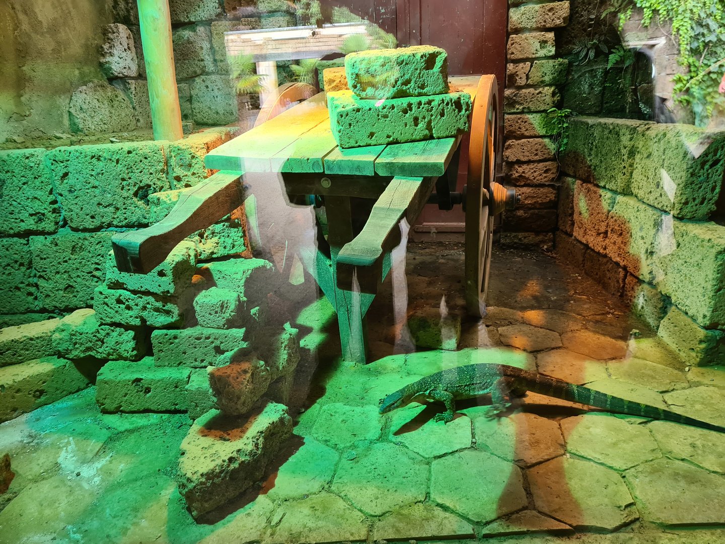 Ancient city - Nile monitor enclosure