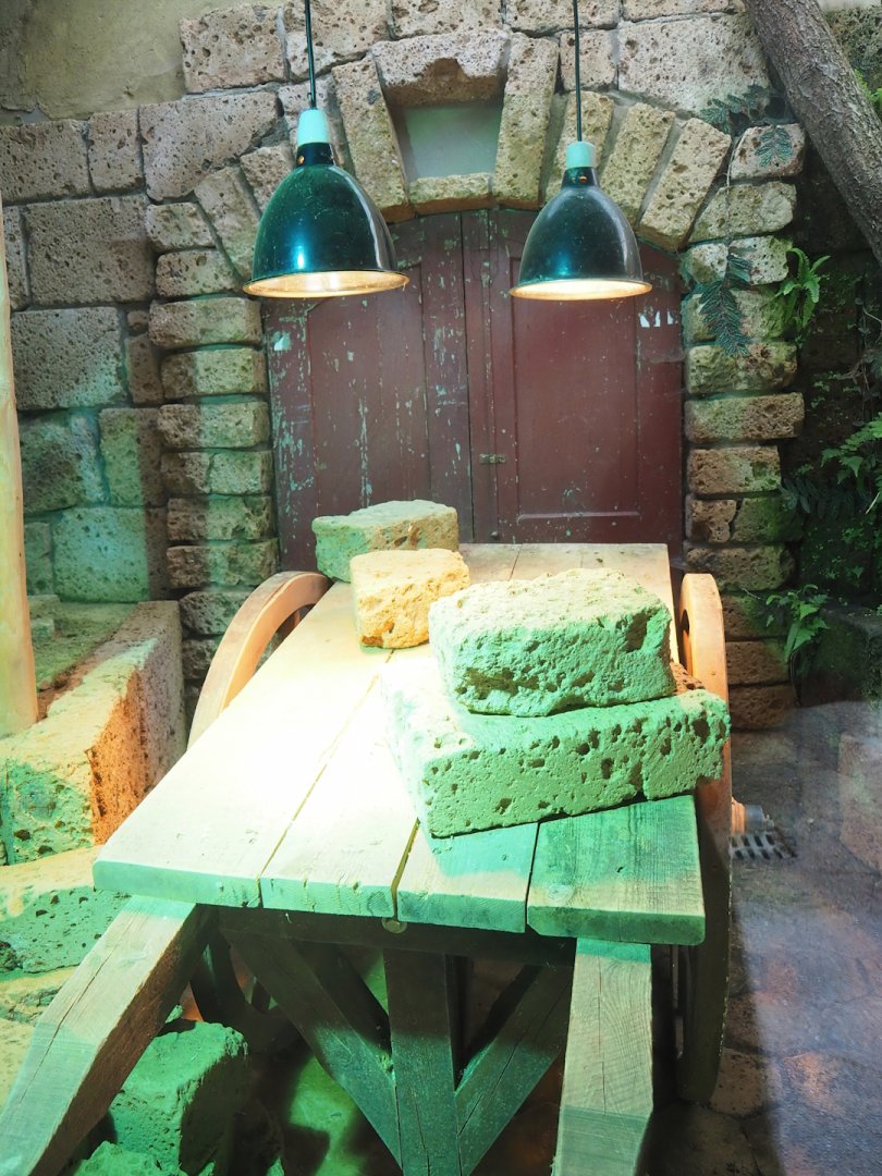 Ancient City - Nile monitor terrarium, 2023-09-24