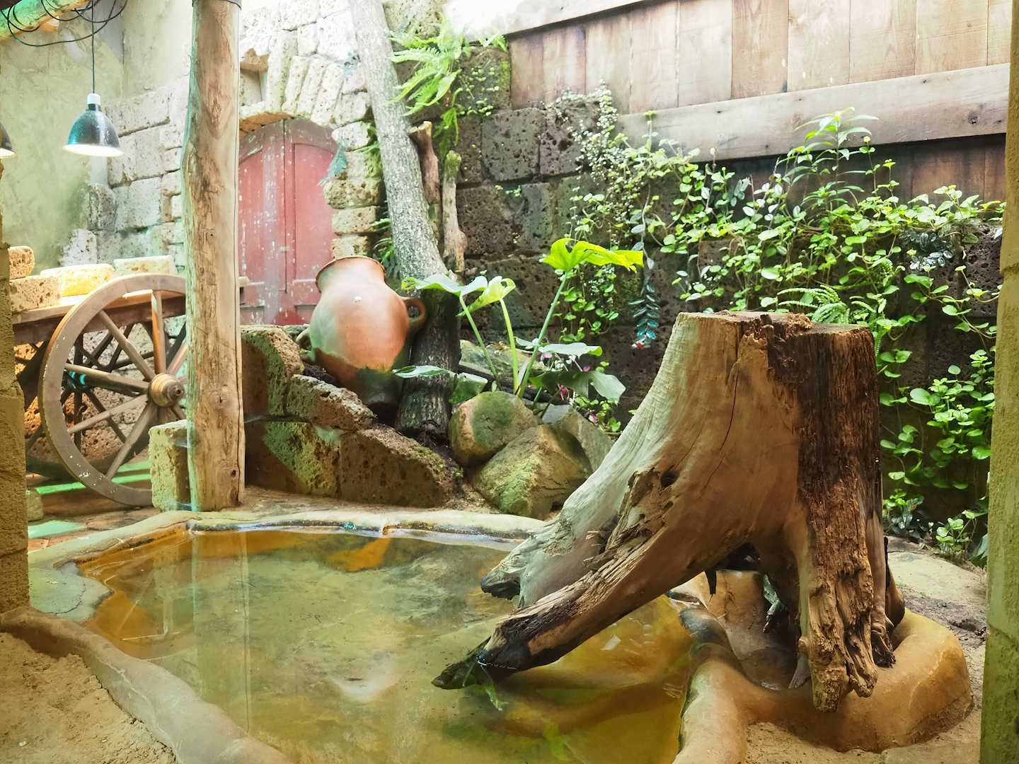 Ancient City - Nile monitor terrarium, 2023-09-24