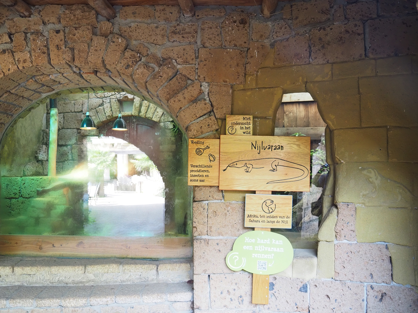 Ancient City - Nile monitor viewing windows and signage, 2023-09-24