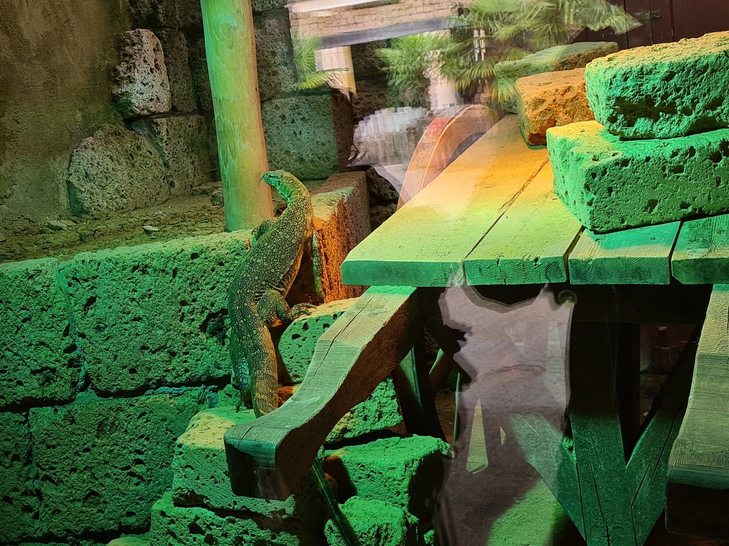 Ancient city - Nile monitor