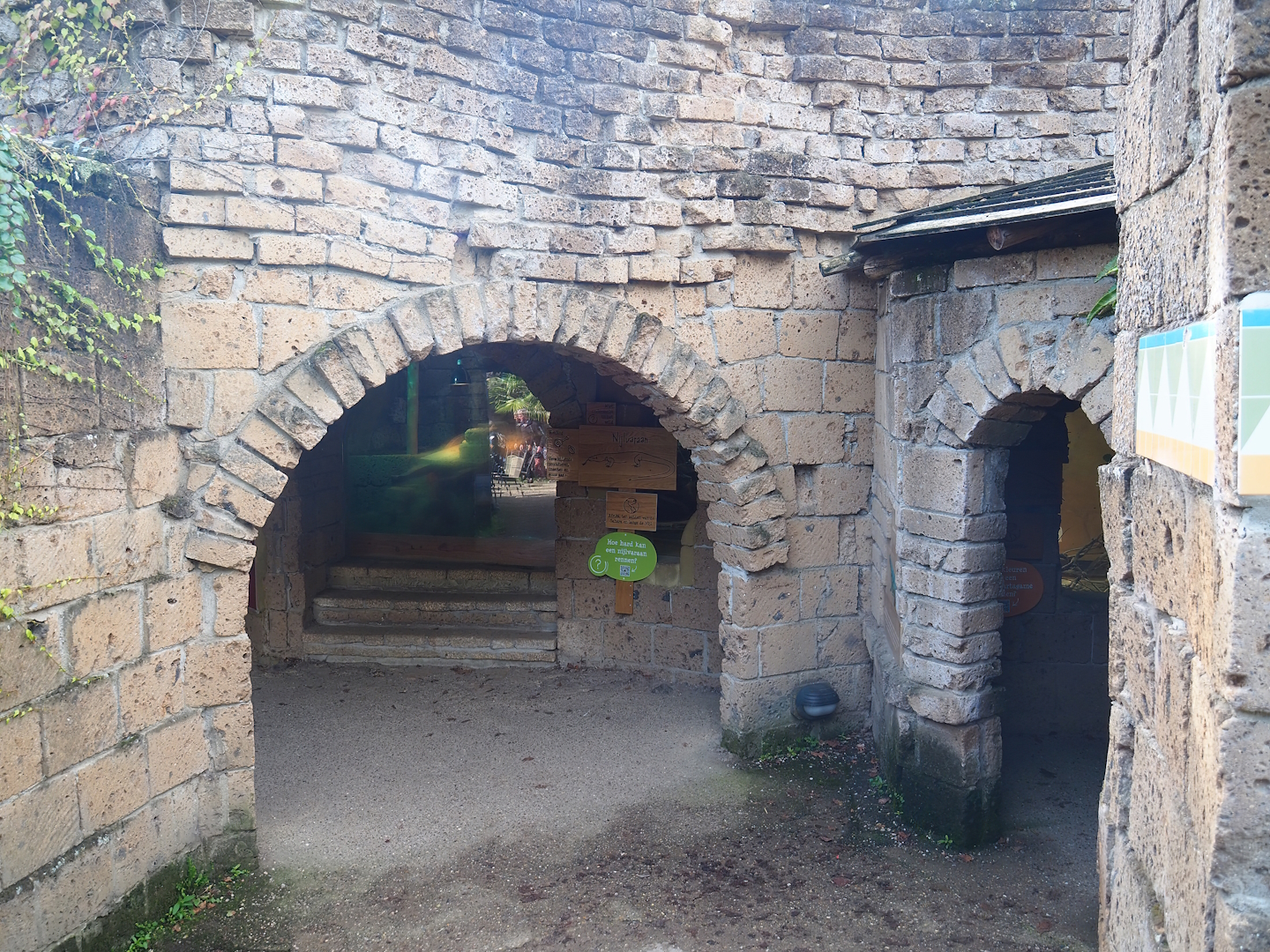 Ancient City - Viewing area for Nile monitor and North African mastigure terrariums, 2023-09-24