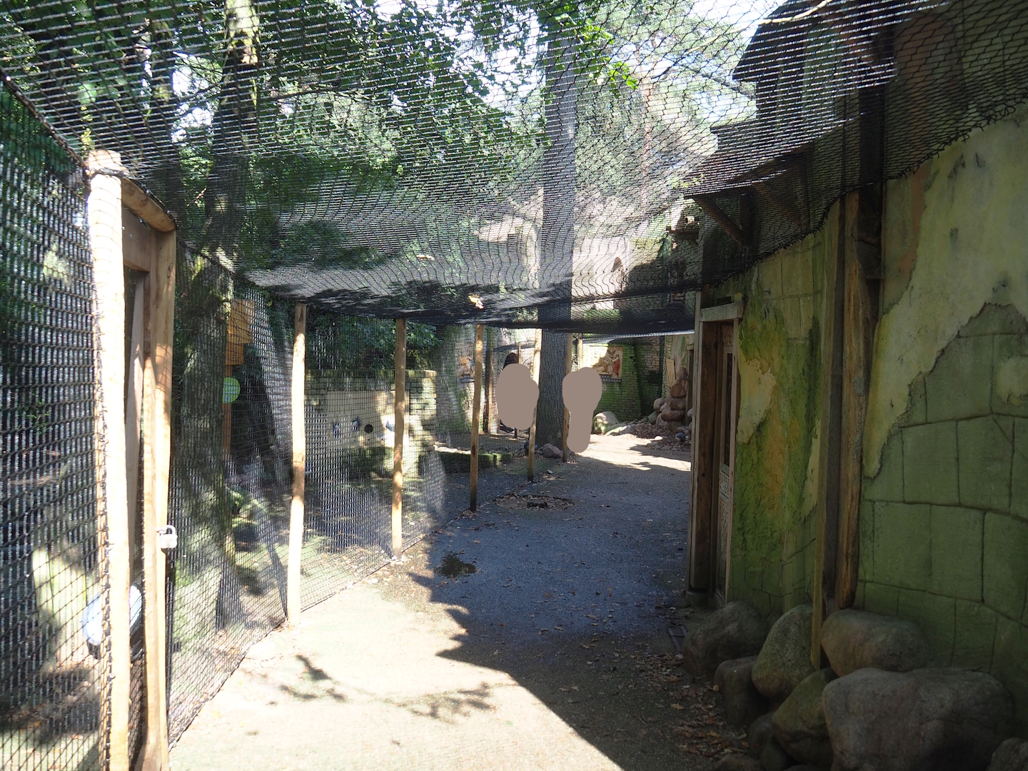 Ancient City - Visitor area in waldrapp aviary, 2023-09-24