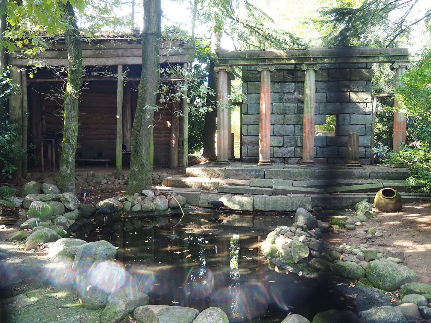 Ancient City - Waldrapp aviary, 2023-09-24