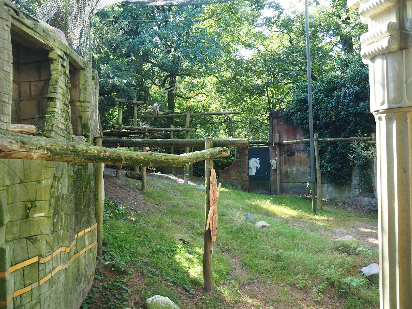Ancient City - Western Eurasian griffon vulture aviary, 2023-09-24