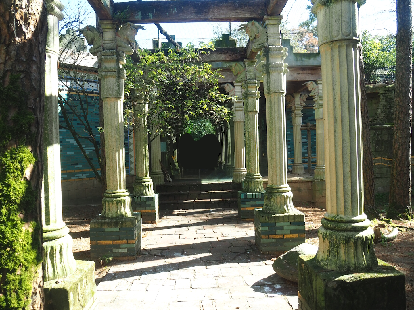 Ancient City - Western Eurasian griffon vulture aviary, zone with columns, 2023-09-24