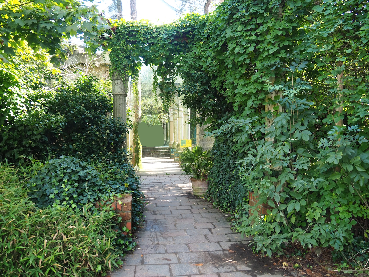 Ancient City - Western Eurasian griffon vulture viewing window, 2023-09-24