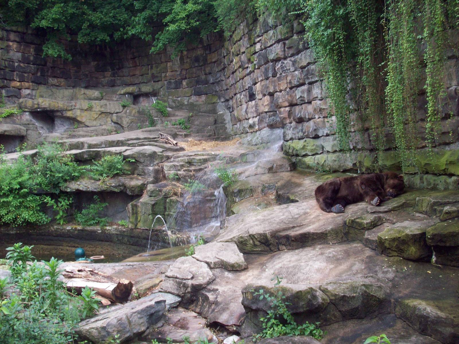 Ancient Kodiak Bear Grotto